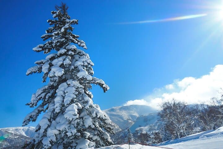 Kiroro Resort 6 Hrs Lift Pass and Round Trip Shuttle from Sapporo — photo 13