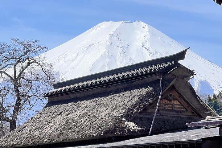 English-speaking Guided Tour:Mount Fuji & Hakone, Private Vehicle — photo 2
