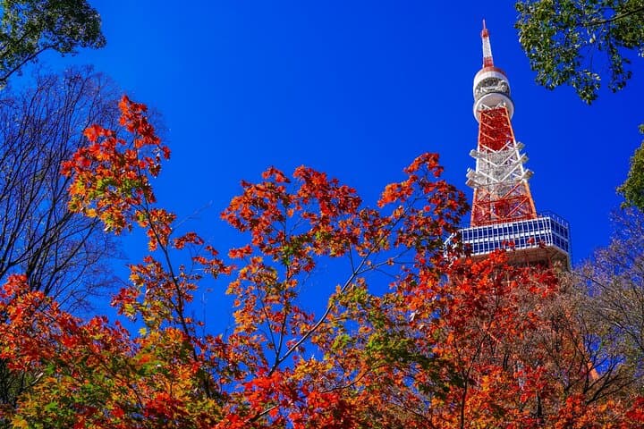 All Inclusive Private Tour Make your own Tokyo adventure — photo 4