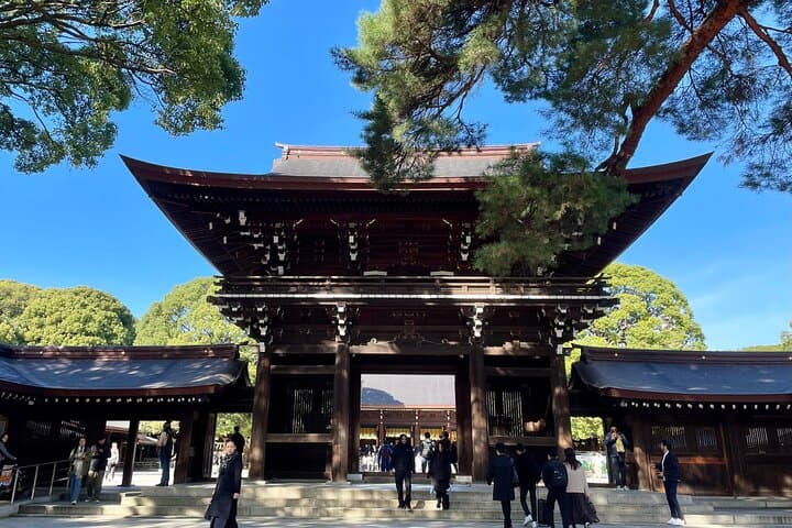 Private Curated Tour | Hidden Gems & Must Sees in Tokyo — photo 8