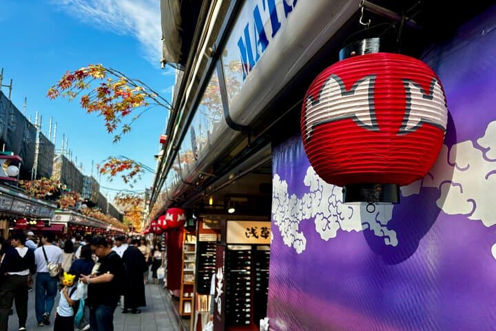 Private Curated Tour | Historical Tokyo - Ueno, Asakusa, Emperor — photo 8