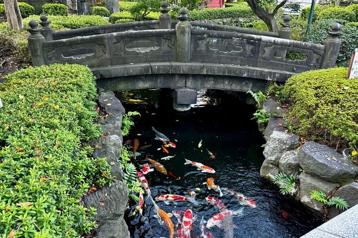 Private Curated Tour | Historical Tokyo - Ueno, Asakusa, Emperor — photo 10