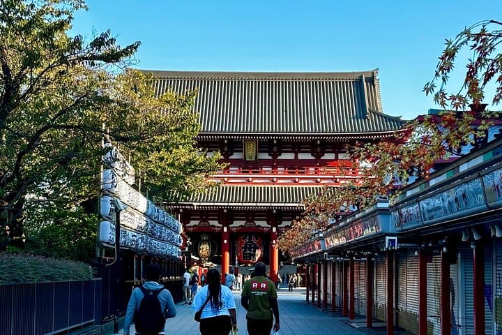 Private Curated Tour | Historical Tokyo - Ueno, Asakusa, Emperor — photo 11