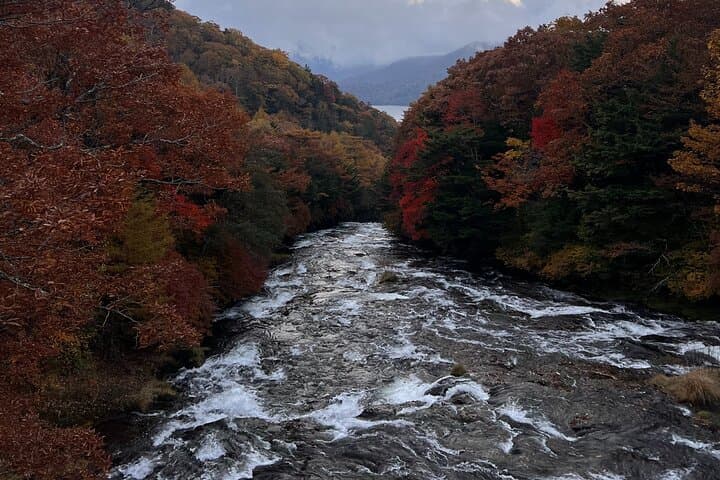 English-speaking guided day tour of Nikko with a private vehicle — photo 2