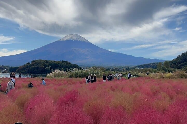 English-speaking Guided Tour:Mount Fuji & Hakone, Private Vehicle — photo 3