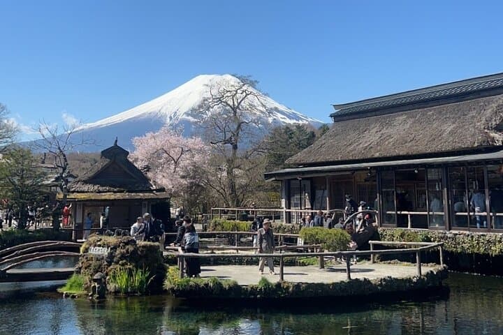 English-speaking Guided Tour:Mount Fuji & Hakone, Private Vehicle — photo 4