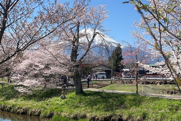English-speaking Guided Tour:Mount Fuji & Hakone, Private Vehicle — photo 5