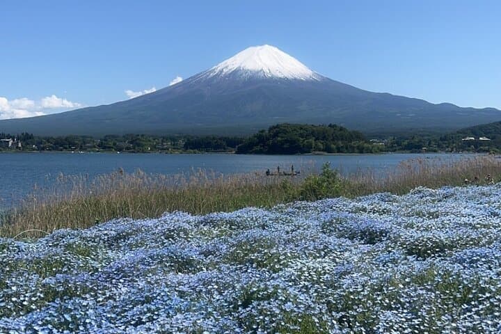 English-speaking Guided Tour:Mount Fuji & Hakone, Private Vehicle — photo 6