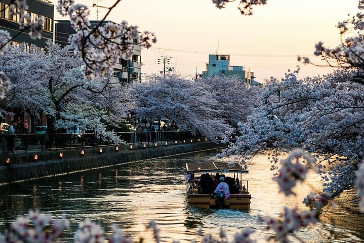 Tokyo City Adventures Private English Tour With Hotel Pickup — photo 4