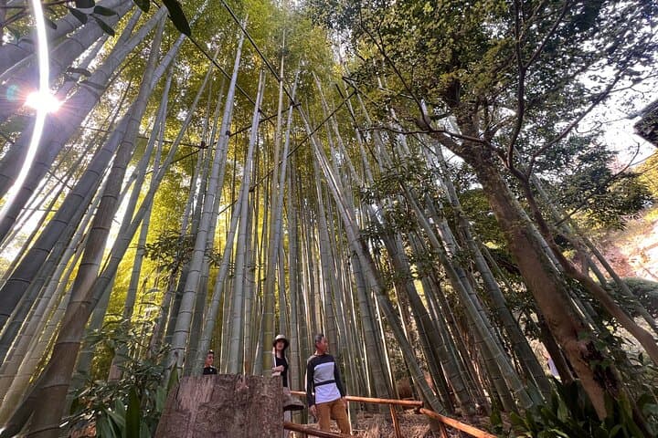 Kamakura and Enoshima Tour with Vehicle and Guide — photo 3
