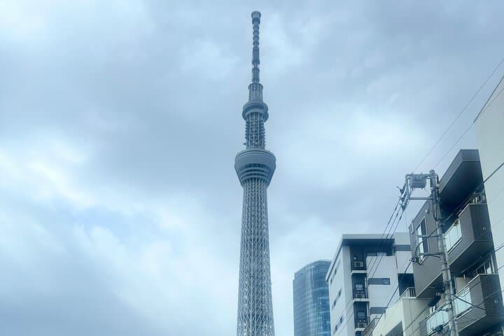 English-speaking guided day tour of Tokyo with a private vehicle — photo 1