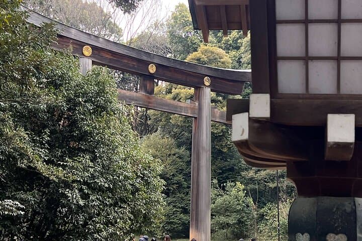 English-speaking guided day tour of Tokyo with a private vehicle — photo 4