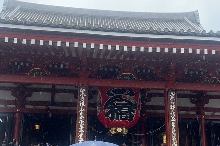 English-speaking guided day tour of Tokyo with a private vehicle — photo 5