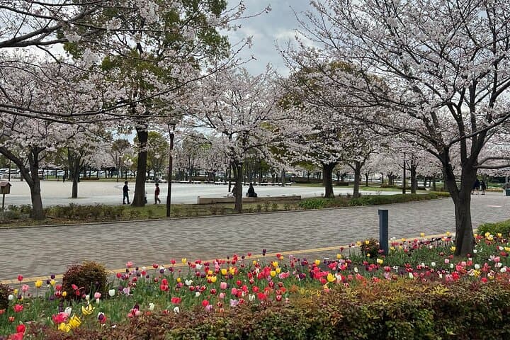 English-speaking guided day tour of Tokyo with a private vehicle — photo 6