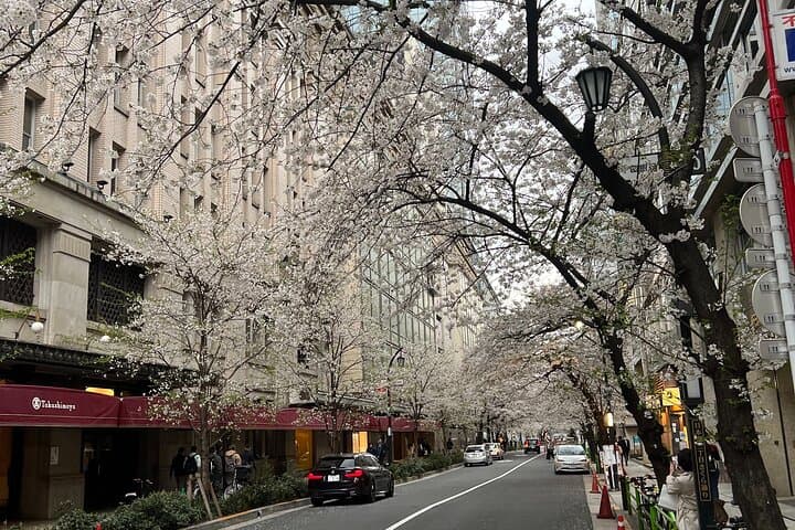 English-speaking guided day tour of Tokyo with a private vehicle — photo 7