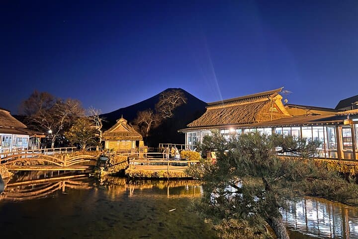 English-speaking Guided Tour:Mount Fuji & Hakone, Private Vehicle — photo 9