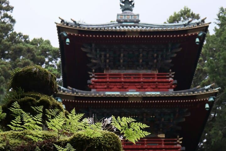 Nikko Private Sightseeing Customized English Day Tour — photo 6