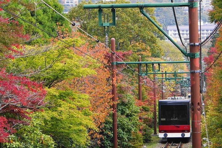 All Inclusive Private Tour Make your Own Adventure in Hakone — photo 4