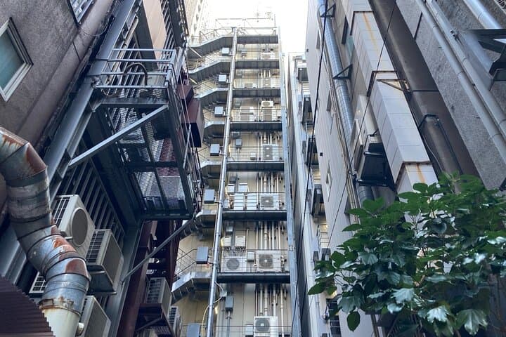 Tokyo Ginza Deep Back Alley Walking Tour — photo 9