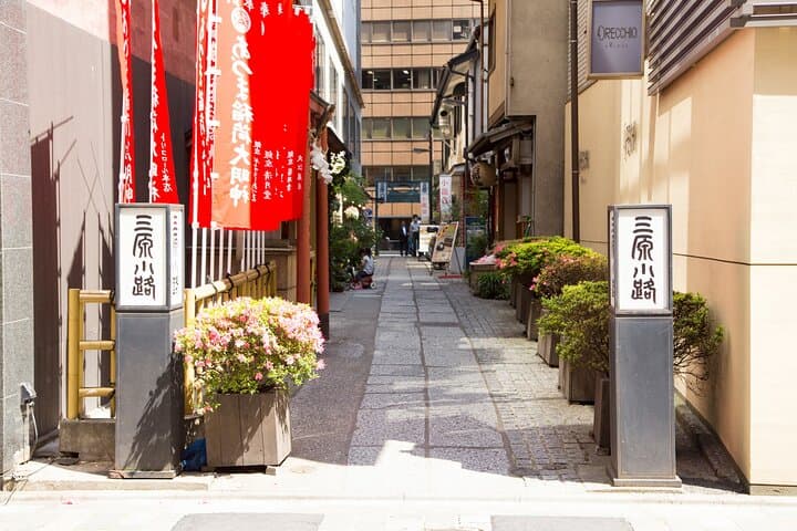 Tokyo Ginza Deep Back Alley Walking Tour — photo 18