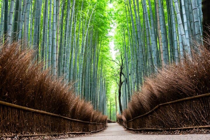 Kyoto Private Highlights Tour by Car — photo 5