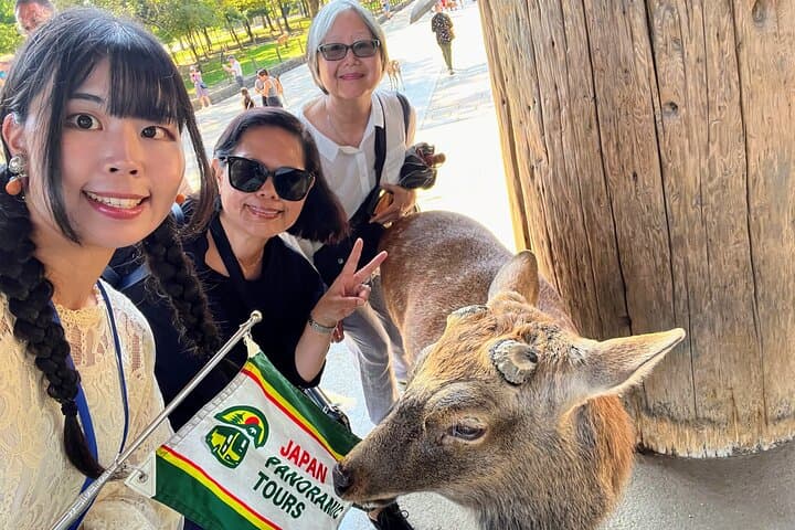 World Heritage Kyoto & Nara Uji Authentic Matcha Experience — photo 13