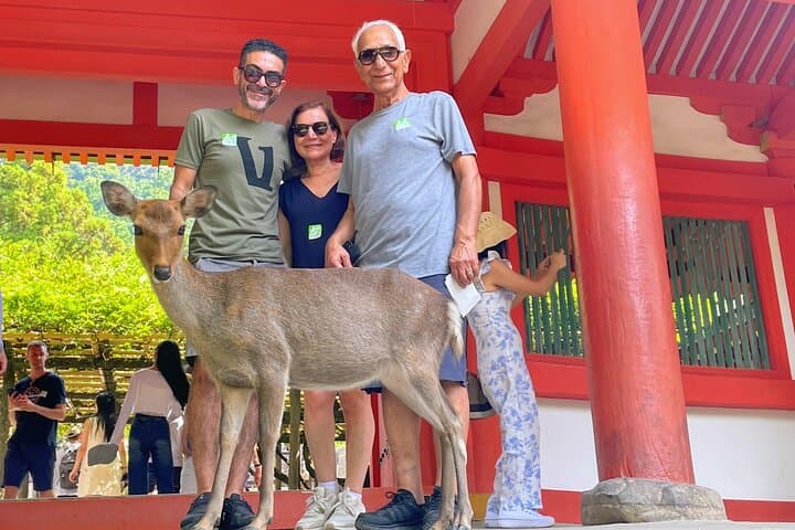 World Heritage Kyoto & Nara Uji Authentic Matcha Experience — photo 7
