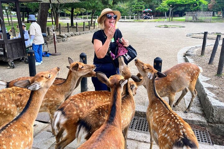 World Heritage Kyoto & Nara Uji Authentic Matcha Experience — photo 5