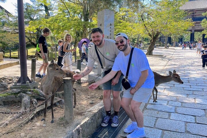 World Heritage Kyoto & Nara Uji Authentic Matcha Experience — photo 11
