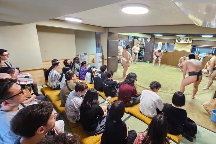 Unique Afternoon Live Sumo training tour in Tokyo — photo 1