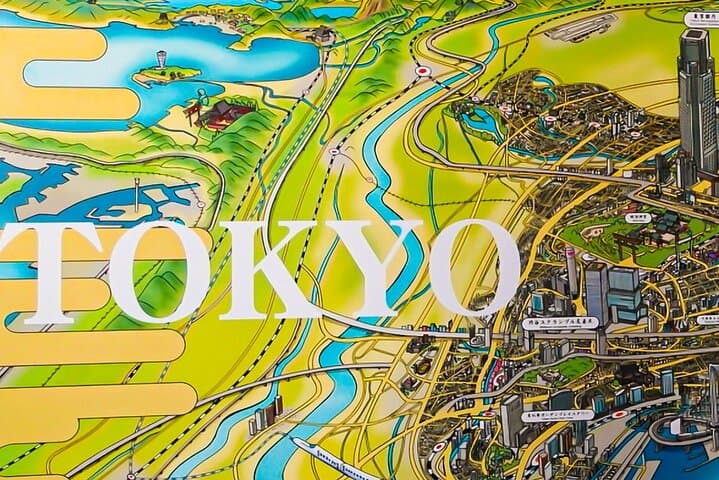 Tokyo City Tour in Shinjuku with Licensed Guide — photo 4