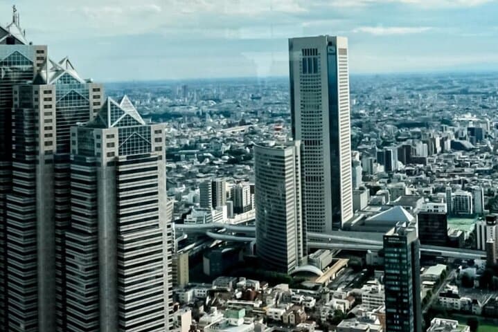 Tokyo City Tour in Shinjuku with Licensed Guide — photo 7
