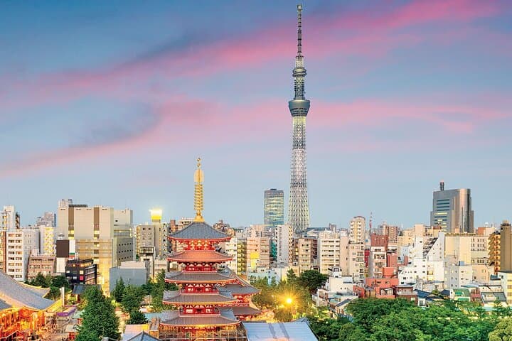Tokyo Night Tour Customizable — photo 3