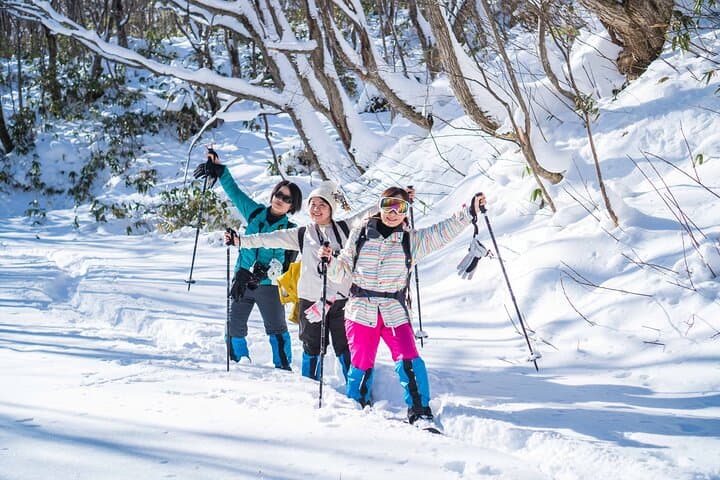 Bamboo Ice Cave Snowshoeing Tour in Noboribetsu — photo 2