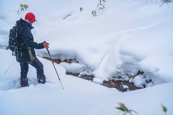Bamboo Ice Cave Snowshoeing Tour in Noboribetsu — photo 11