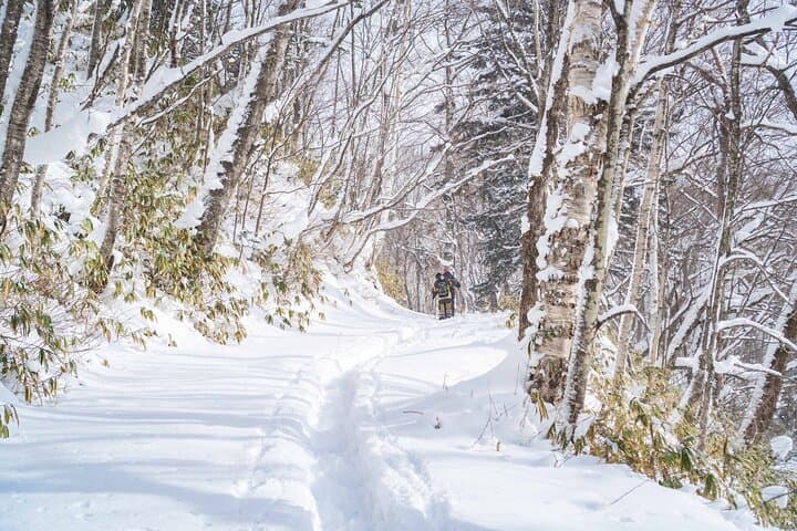 Bamboo Ice Cave Snowshoeing Tour in Noboribetsu — photo 6