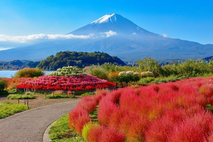 4 Day Private Japan Tour Tokyo Nikko Kamakura Mt Fuji Hakone — photo 13