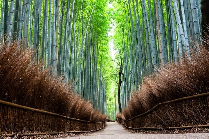 Kyoto Private Full Day Tour by Car — photo 4