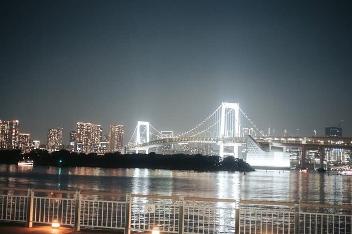 Private Tokyo Night Driver-Guided Tour — photo 5
