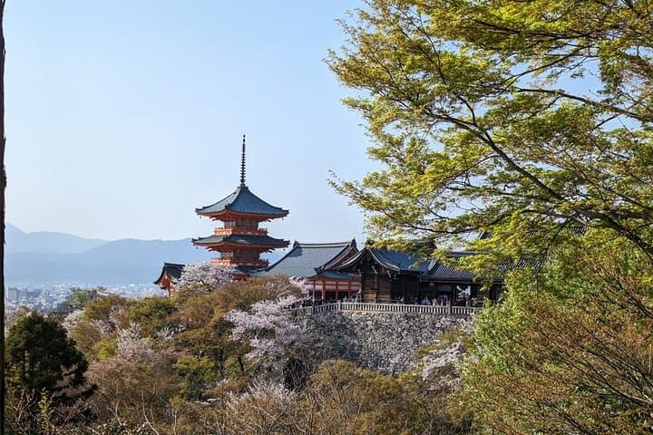 8 Hour Private Tour of Kyoto — photo 1
