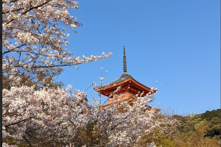 8 Hour Private Tour of Kyoto — photo 4