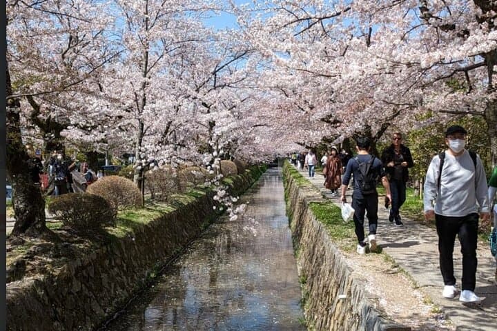 8 Hour Private Tour of Kyoto — photo 6