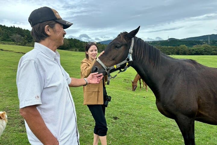 Pasture Hike with Horse Whisperer at Horse Trust in Kagoshima — photo 15