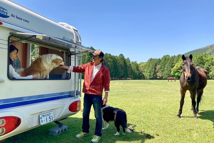Pasture Hike with Horse Whisperer at Horse Trust in Kagoshima — photo 16