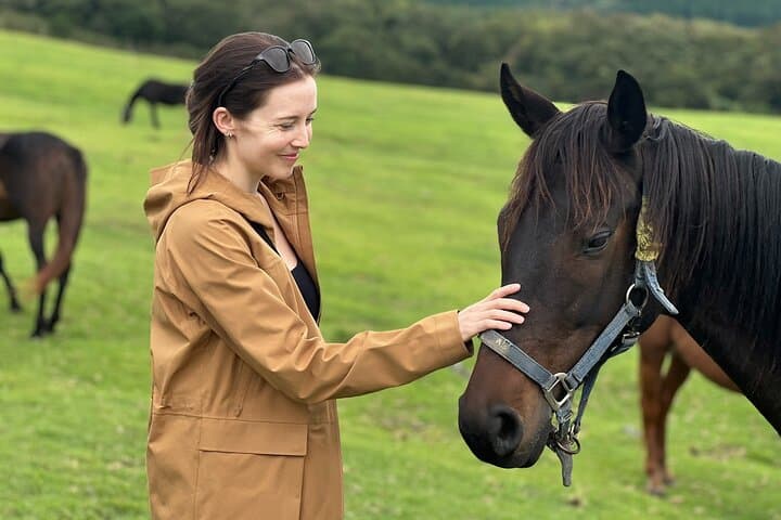 Pasture Hike with Horse Whisperer at Horse Trust in Kagoshima — photo 17