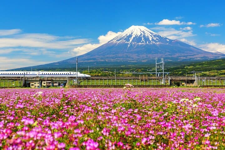 Full Day Tour at Mt. Fuji, Onsen, Lake Kawaguchi and Yamanaka — photo 13