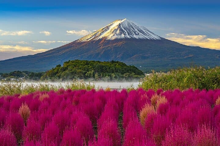 Full Day Tour at Mt. Fuji, Onsen, Lake Kawaguchi and Yamanaka — photo 8