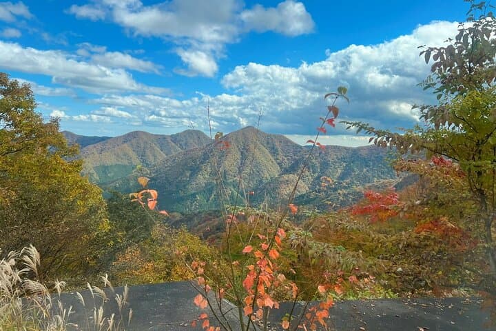 Nikko Guided Cycling Tour with a Local Monk — photo 4