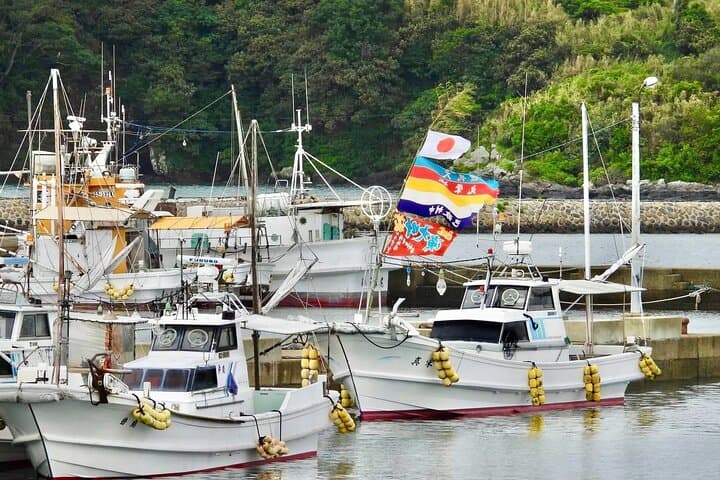 Sea Kayaking and Beach Clean up in Ojika Island Nagasaki — photo 5