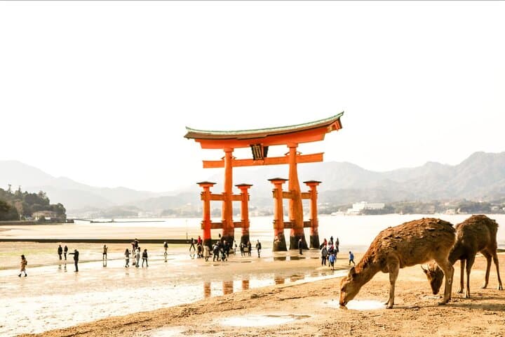 Hiroshima and Miyashima Private Spanish Tour — photo 3
